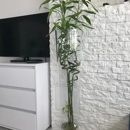 Apartment Studio Apollo